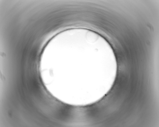 X0000091341514200708101010