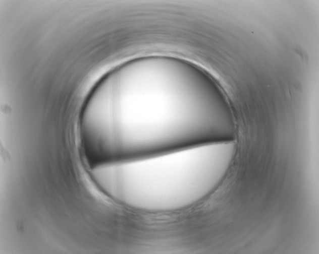 X0000091341515200708101010