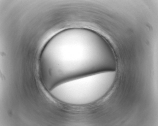 X0000091341517200708101010