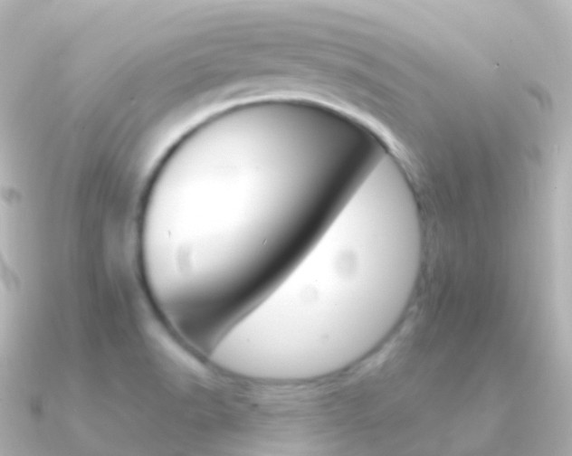 X0000091341518200708101010