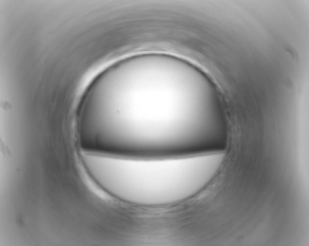 X0000091341519200708101010