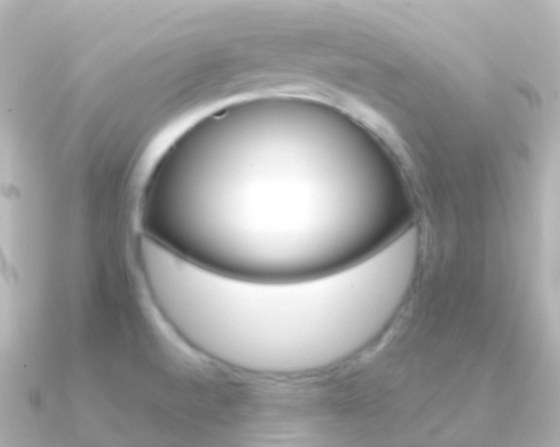 X0000091341520200708101010