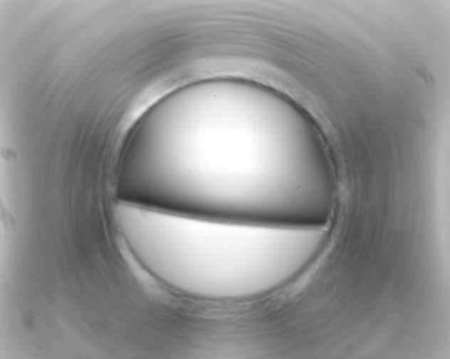 X0000091341521200708101010