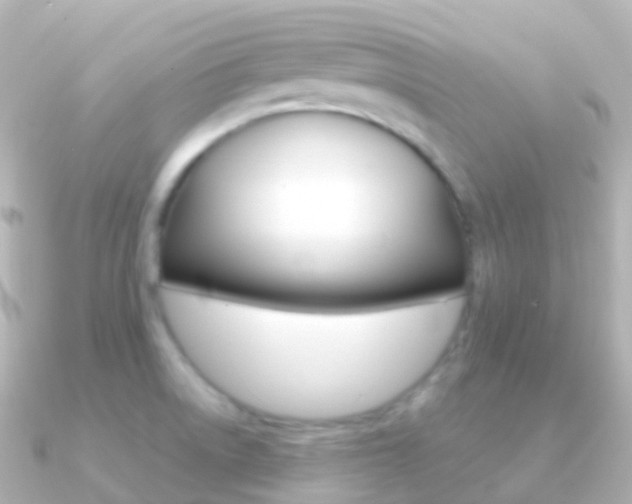 X0000091341522200708101010