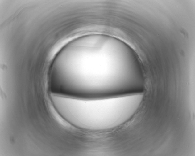X0000091341523200708101010