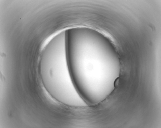 X0000091341524200708101010