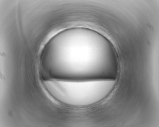 X0000091341525200708101010
