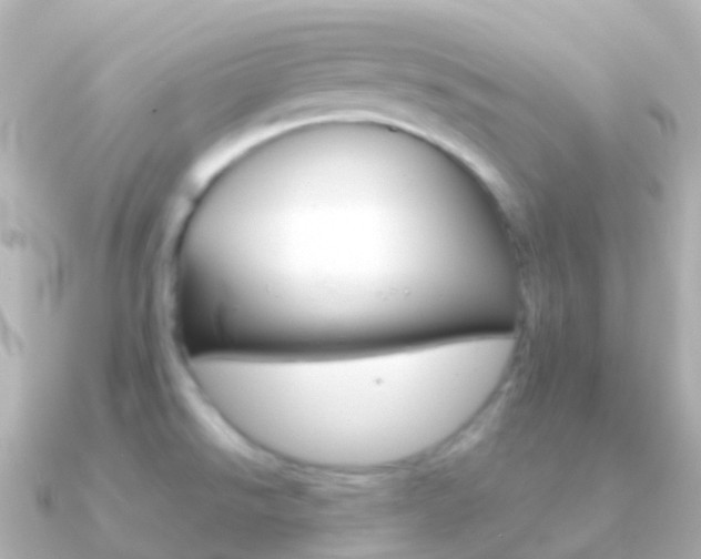 X0000091341526200708101010