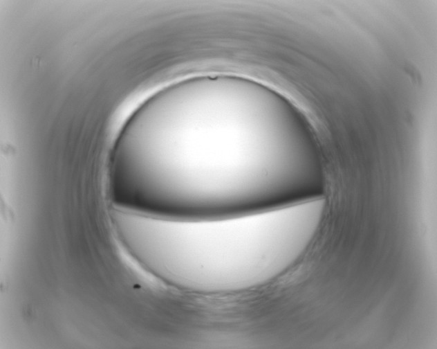 X0000091341527200708101010