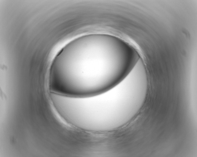 X0000091341528200708101010