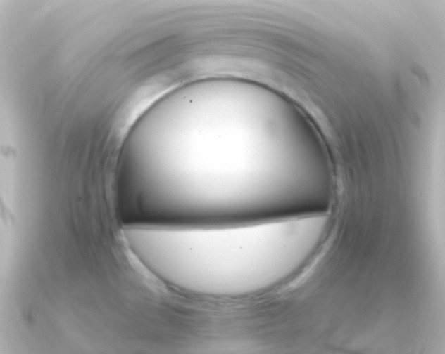 X0000091341529200708101010