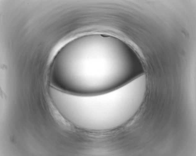 X0000091341530200708101010