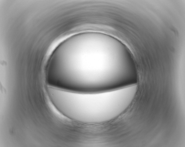 X0000091341531200708101010