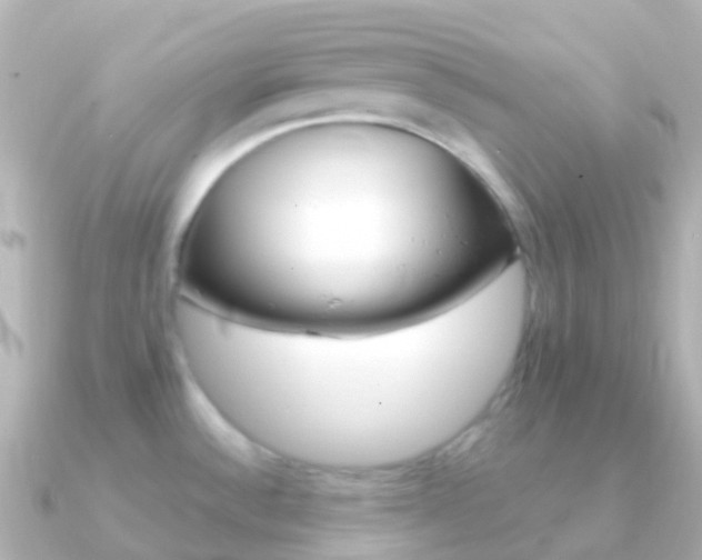X0000091341532200708101010