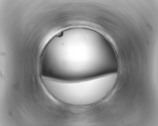 X0000091341533200708101010