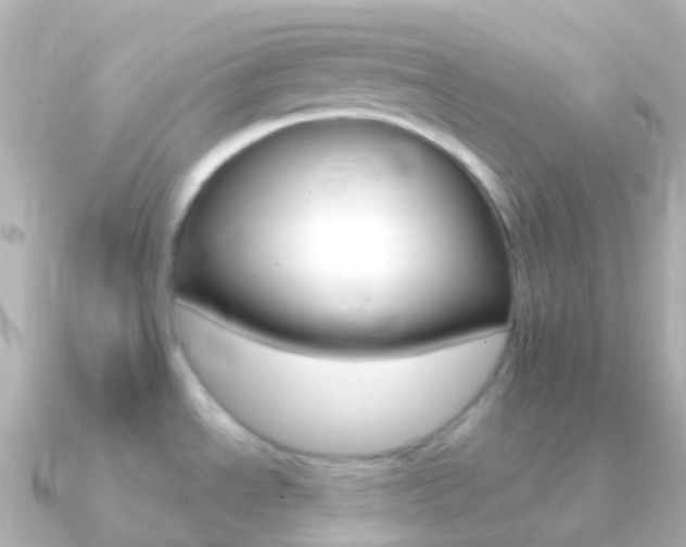 X0000091341534200708101010