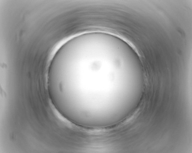 X0000091341535200708101010