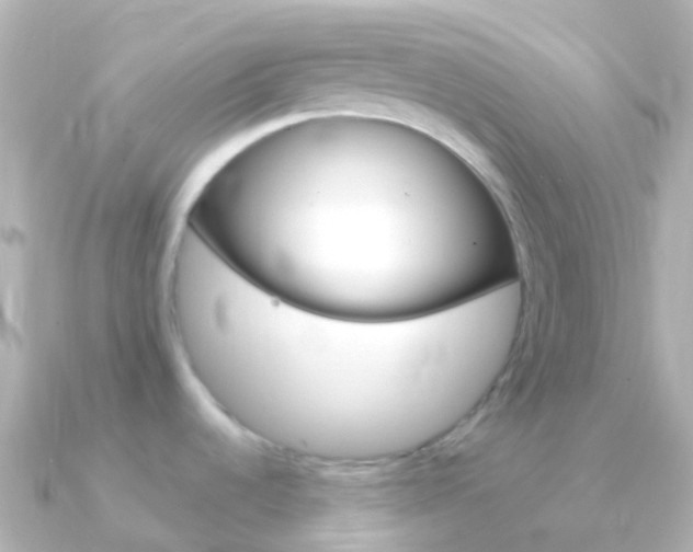 X0000091341536200708101010