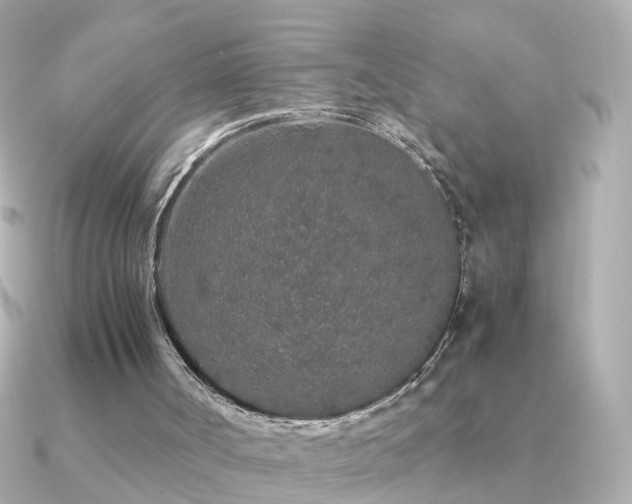 X0000091340002200708101452