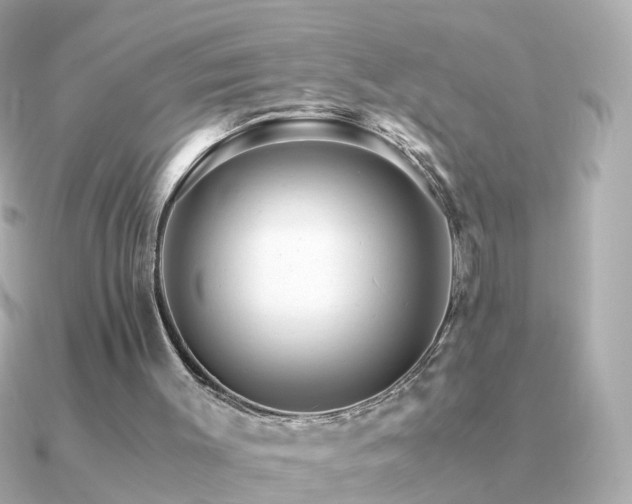 X0000091340003200708101452