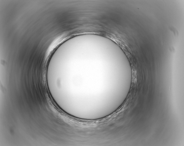 X0000091340004200708101452