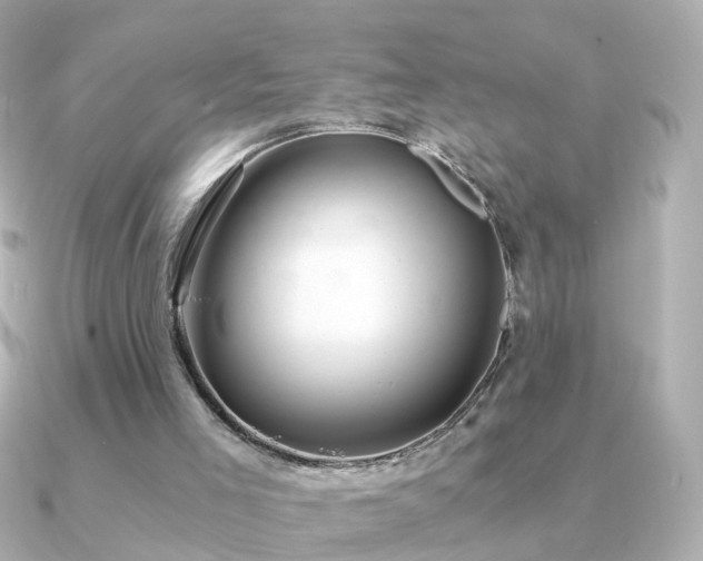 X0000091340005200708101452