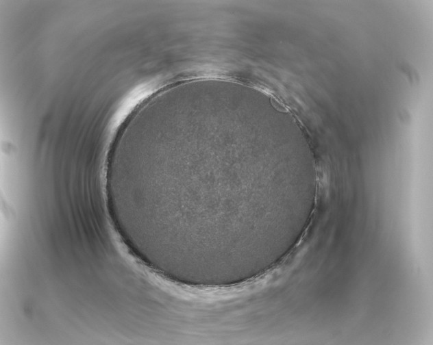 X0000091340006200708101452