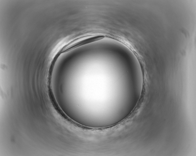 X0000091340007200708101452