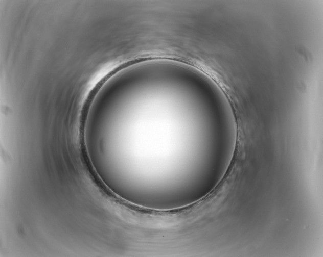 X0000091340008200708101452