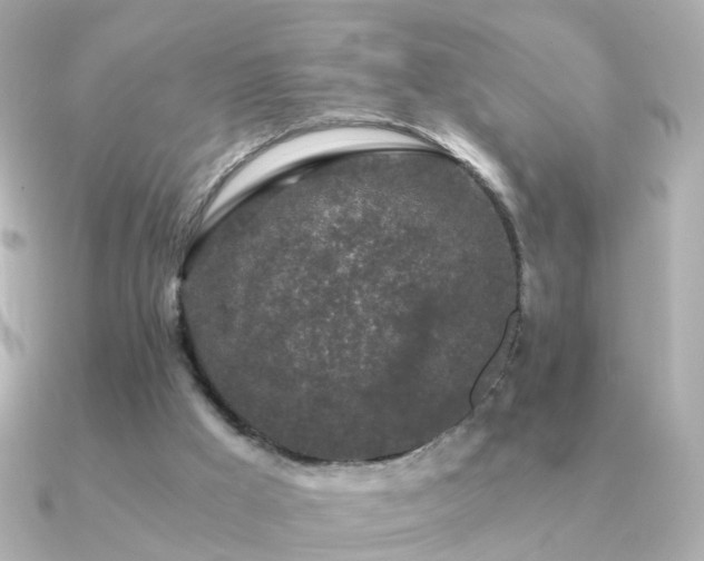 X0000091340009200708101452
