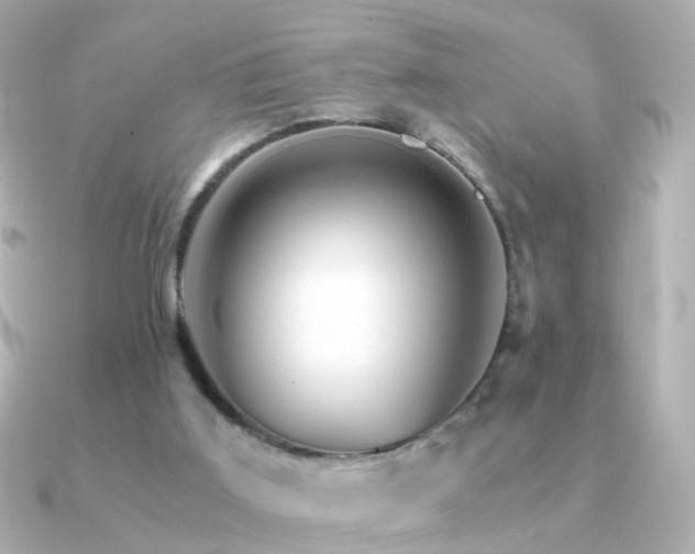 X0000091340011200708101452