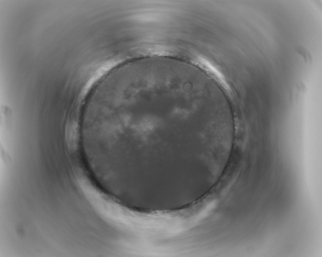 X0000091340012200708101452