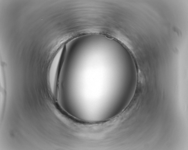 X0000091340013200708101452