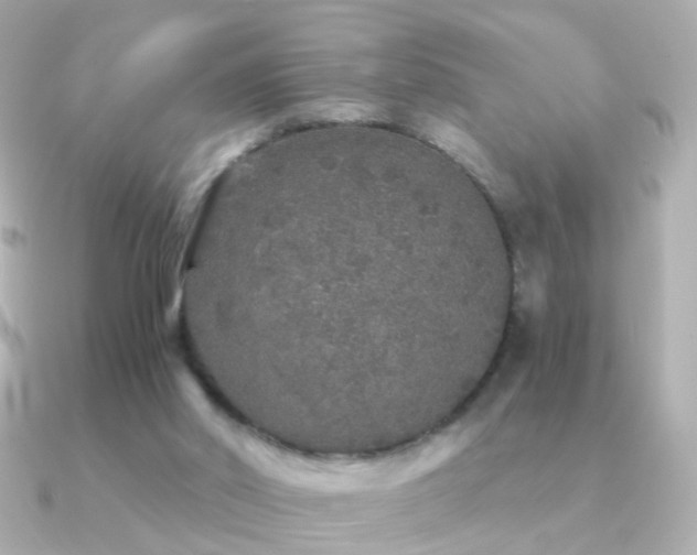 X0000091340014200708101452