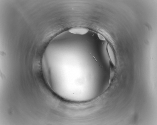 X0000091340017200708101452