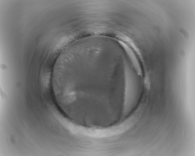 X0000091340018200708101452