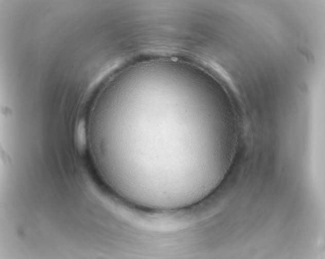 X0000091340020200708101451
