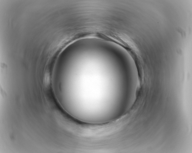 X0000091340021200708101451