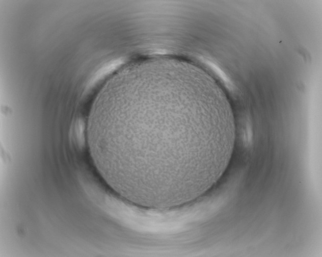 X0000091340022200708101451