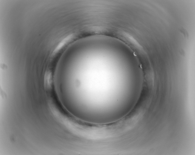 X0000091340024200708101451