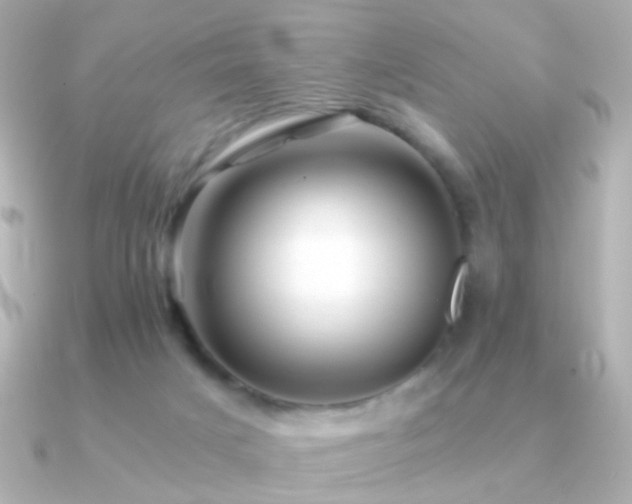 X0000091340025200708101451