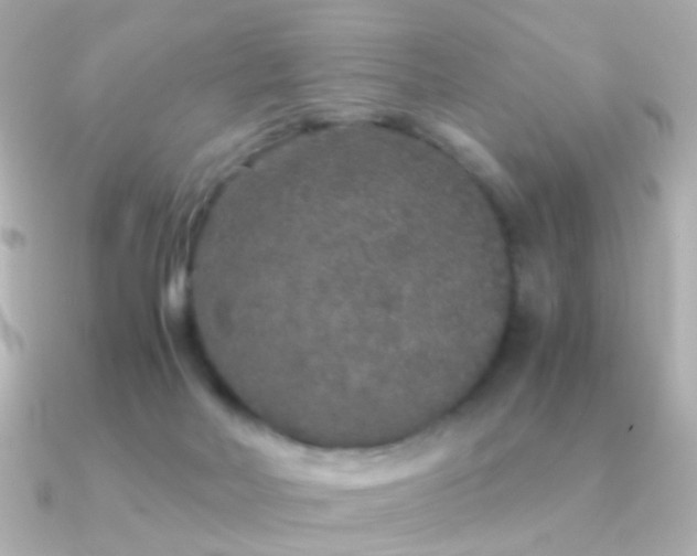 X0000091340026200708101451