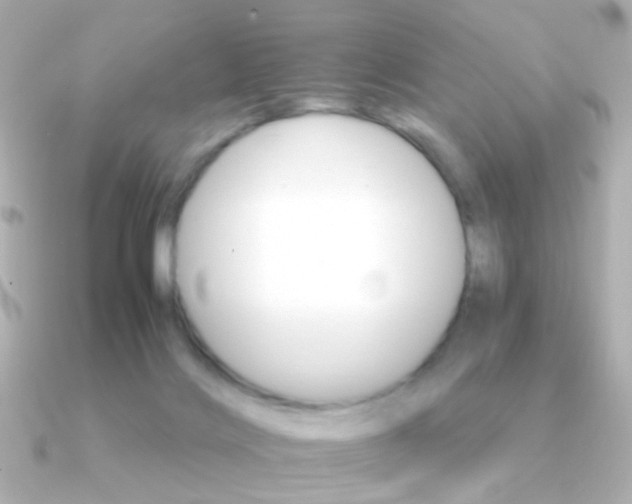X0000091340028200708101451