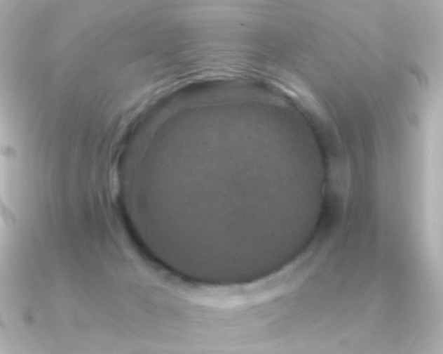 X0000091340029200708101451