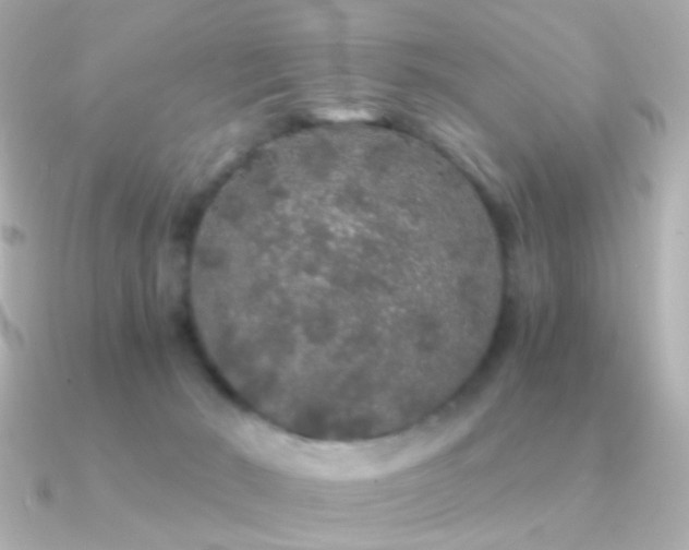 X0000091340030200708101451