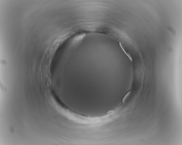 X0000091340031200708101451
