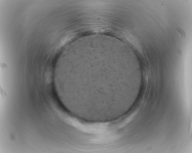 X0000091340032200708101451