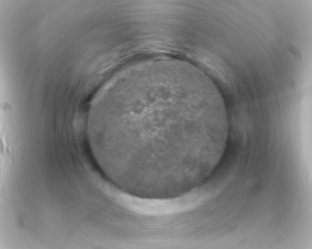 X0000091340034200708101451