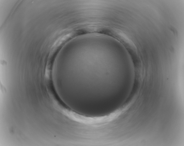 X0000091340035200708101451