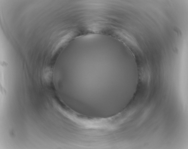 X0000091340036200708101451